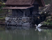 Hida Folk Village 11-0391